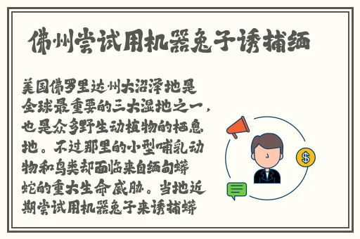 已满十八带好纸巾从此转人新闻